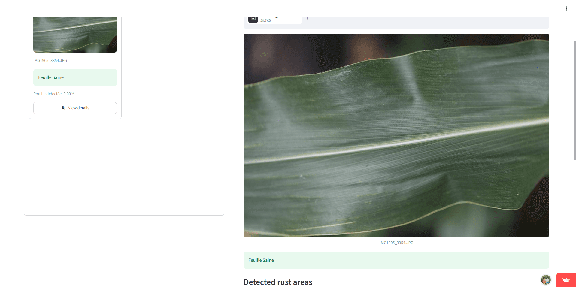 Puccinia Polysora Detector - Check if your plant have the puccinia polysora screenshot 1